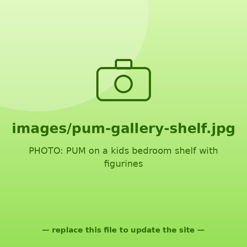 PUM in a kids bedroom shelf with figurines